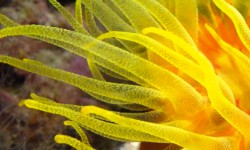 California Academy of Sciences 3/3